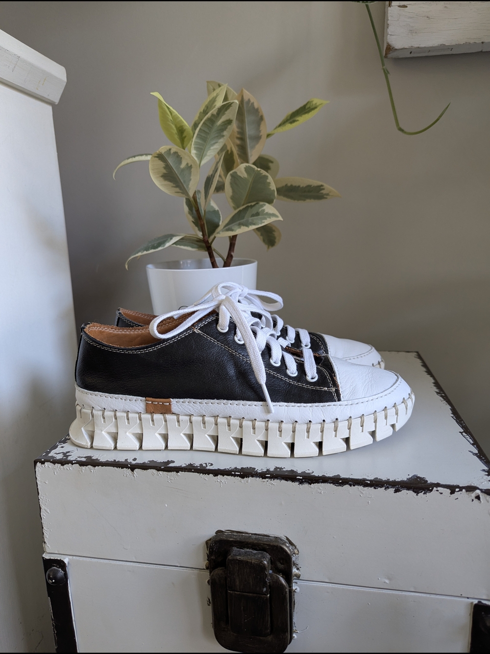 Roamers Posh Low-Top Leather Sneakers